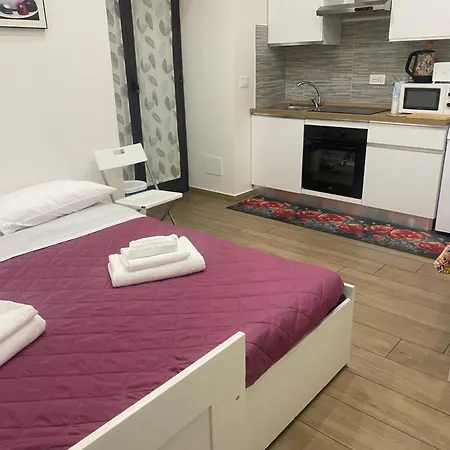Il Tulipano House