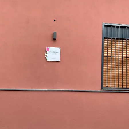 Il Tulipano House Catania